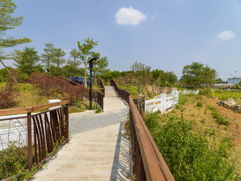 广西贺州永丰湖湿地公园步道