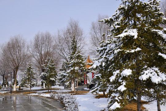 公园雪景