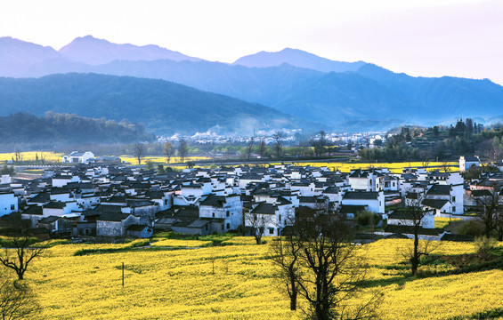 黟县卢村春晨