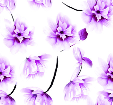 紫色水仙