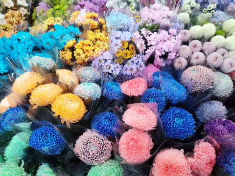 多彩的鲜花