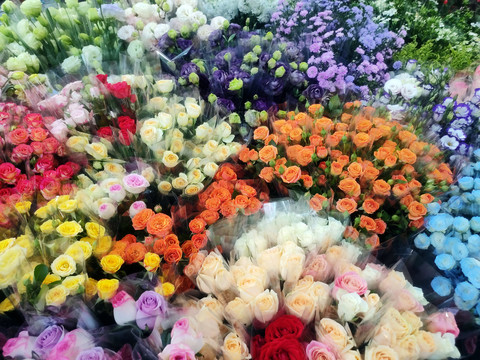 多彩的鲜花