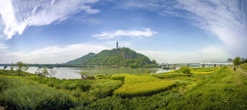 兰溪兰江横山春天油菜花全景