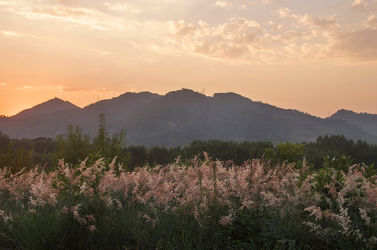 傍晚远山山峰草丛风景