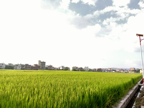 田园风景