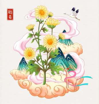 胎菊插画手绘