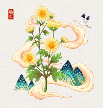 胎菊插画手绘