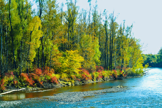 秋季河流森林红叶
