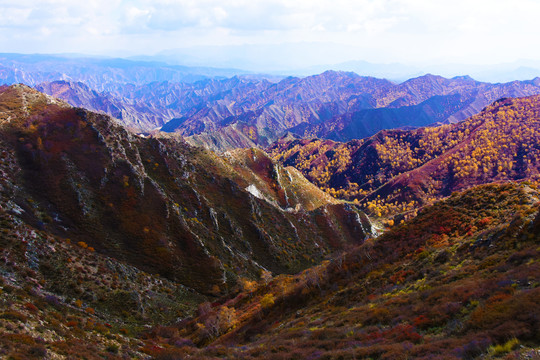 大青山