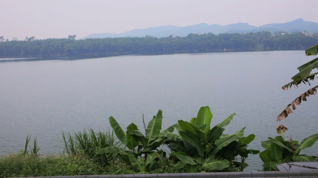 柳州江边风景