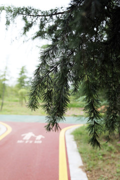 园林步道