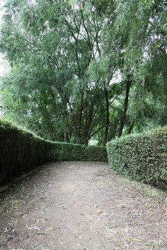园林步道