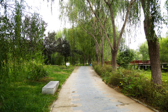 园林步道