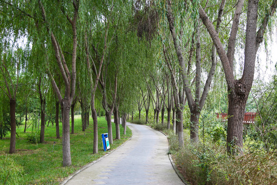 园林步道