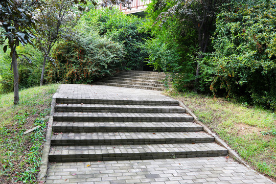 园林步道