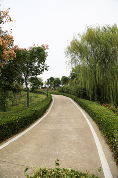 景观小道