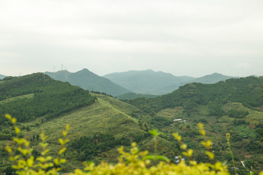 龙泉丹景台