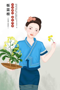 板蓝根插画