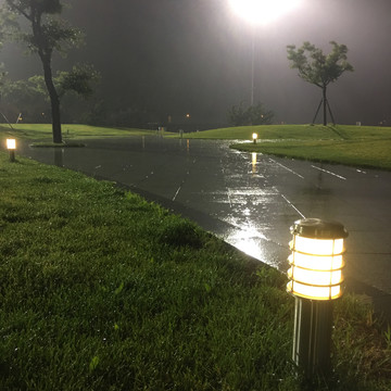 雨夜草地