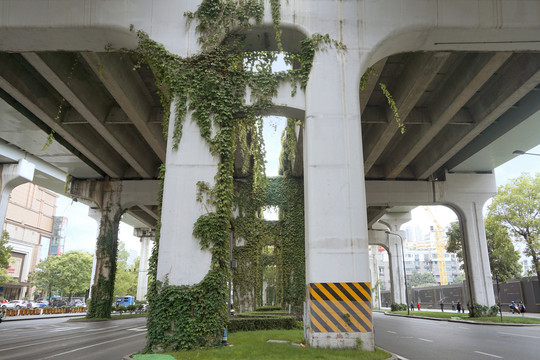 成都科华立交桥高架爬山虎