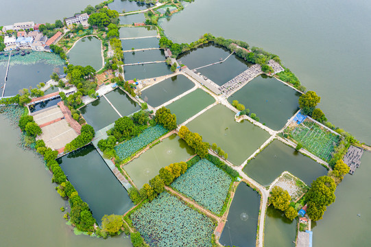 武汉东湖生态旅游风景区鱼塘