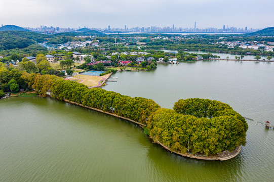 航拍武汉东湖风景区湖中林荫道