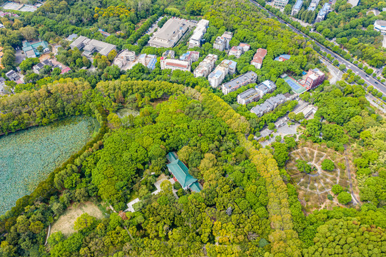 航拍武汉东湖听涛景区天鹅池