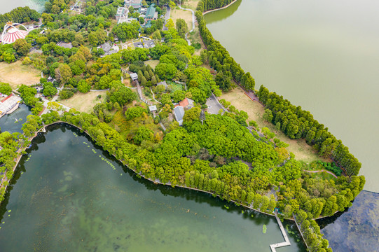 航拍武汉东湖听涛景区天鹅池