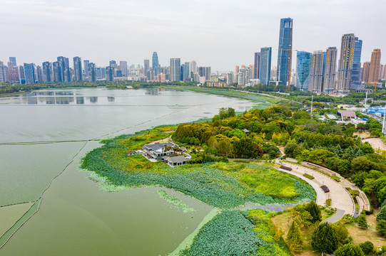 航拍湖北武汉沙湖公园湖泊湿地