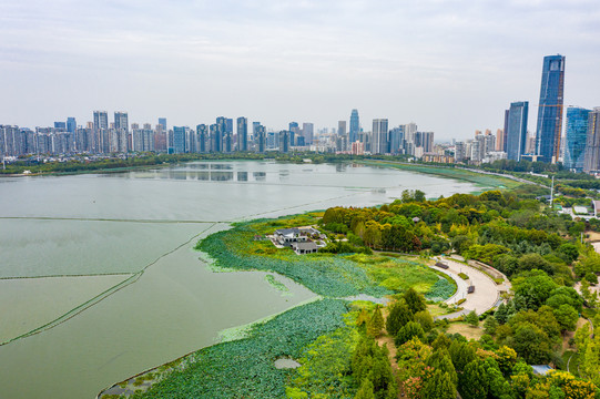 航拍湖北武汉沙湖公园湖泊湿地