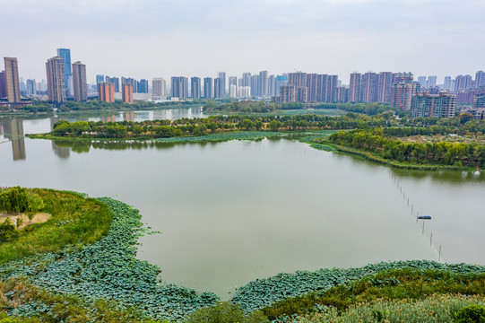 航拍武汉金银湖湿地公园风光