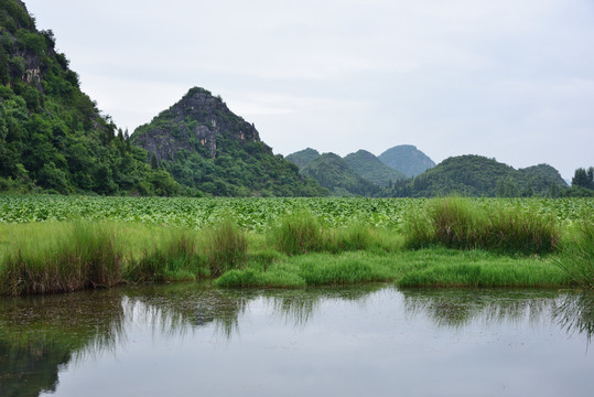 山青水秀