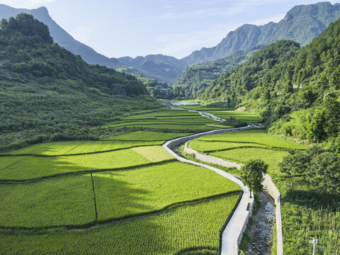 美丽乡村梯田