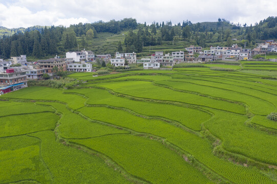 美丽乡村建设