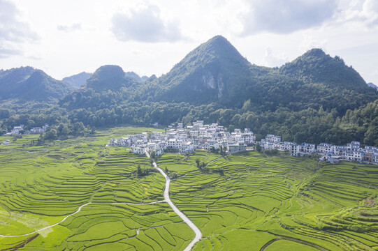 贵州梯田