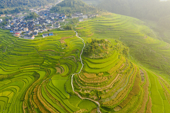 贵州自然风光梯田稻田