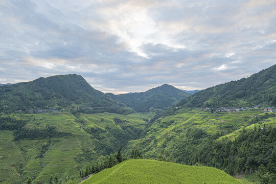 山区梯田