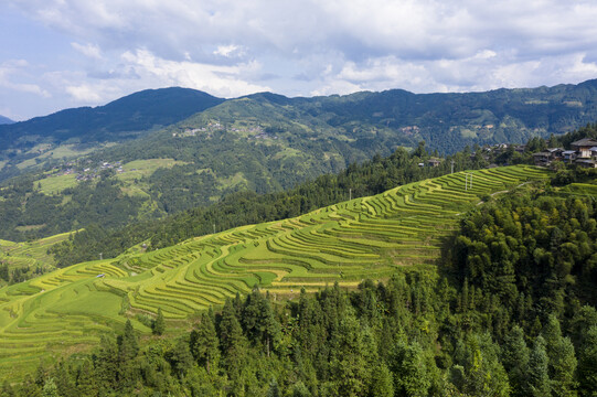 梯田风光