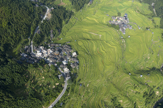 贵州梯田