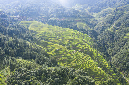 贵州梯田