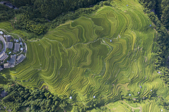 梯田山区风光