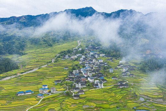 贵州山区梯田