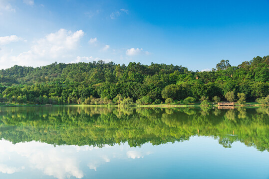 番禺大夫山森林公园红山湖风景