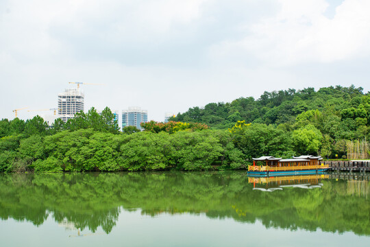 绍兴镜湖国家城市湿地公园