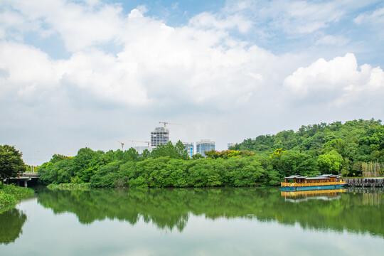 绍兴镜湖国家城市湿地公园