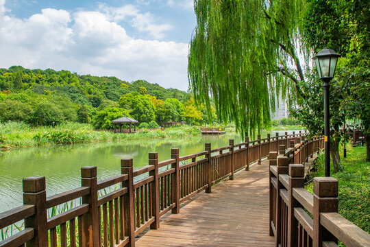 绍兴镜湖国家城市湿地公园