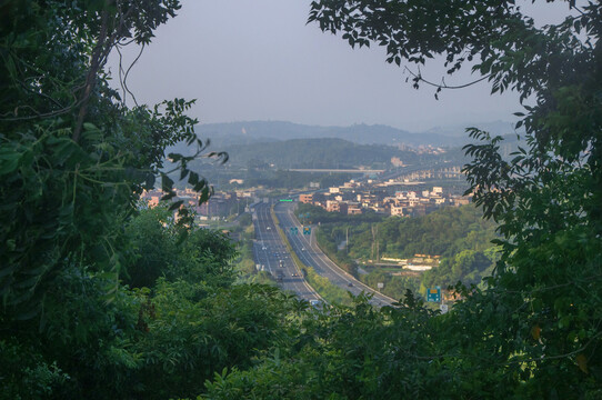 高速公路景观