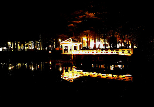 莲湖夜景灯光