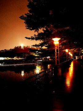 桥头莲湖夜景