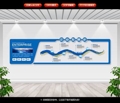 企业发展历程